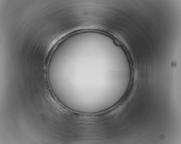 X0000111580781200907161155