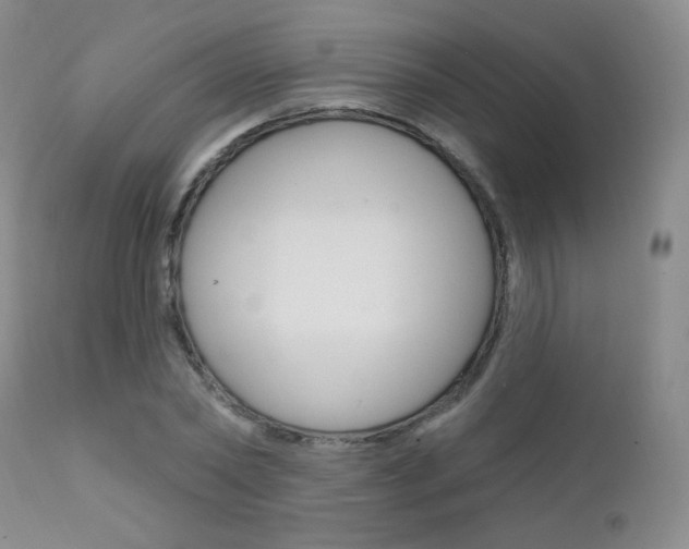 X0000111580782200907161155