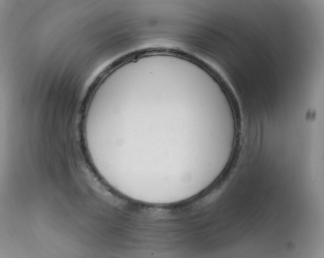X0000111580783200907161155
