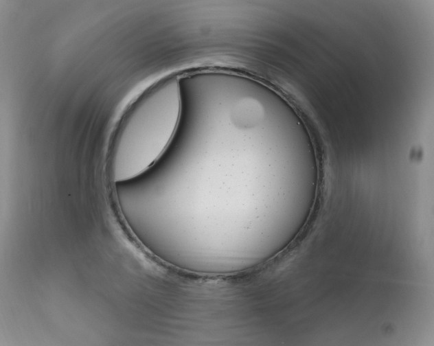 X0000111580784200907161155