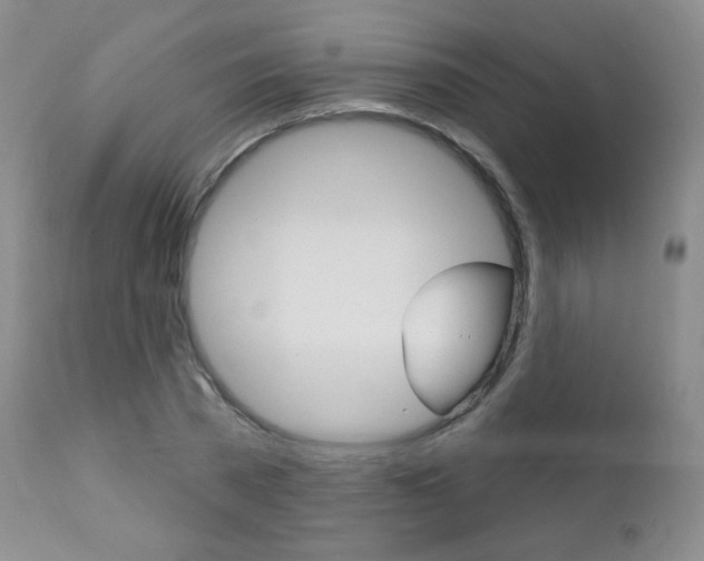 X0000111580785200907161155