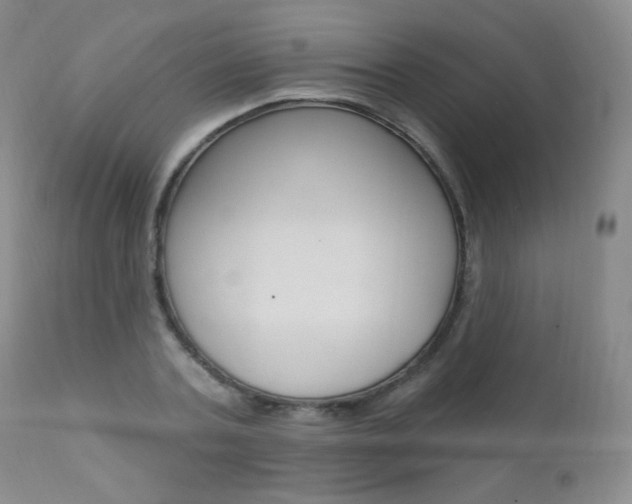 X0000111580787200907161155