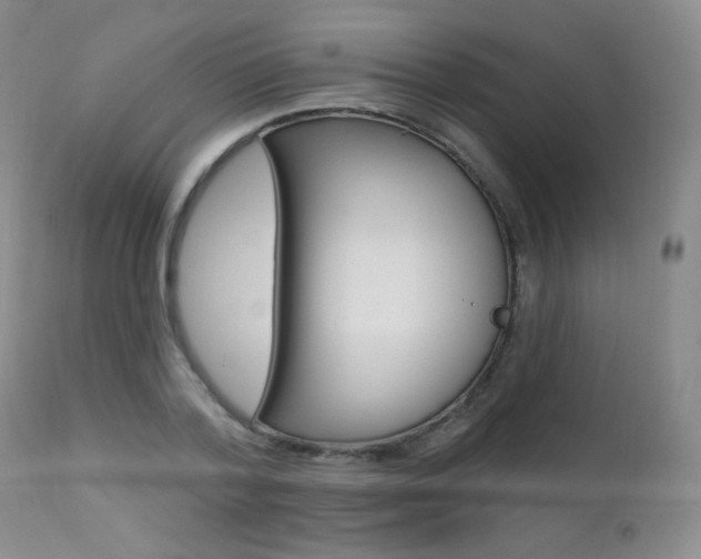X0000111580788200907161155