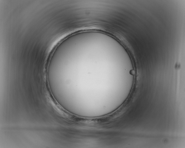 X0000111580789200907161155