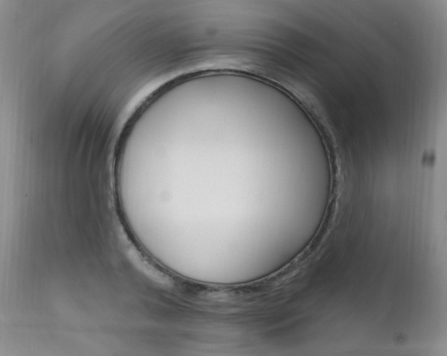 X0000111580792200907161154