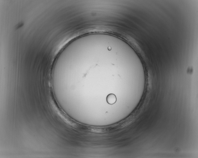 X0000111580794200907161154
