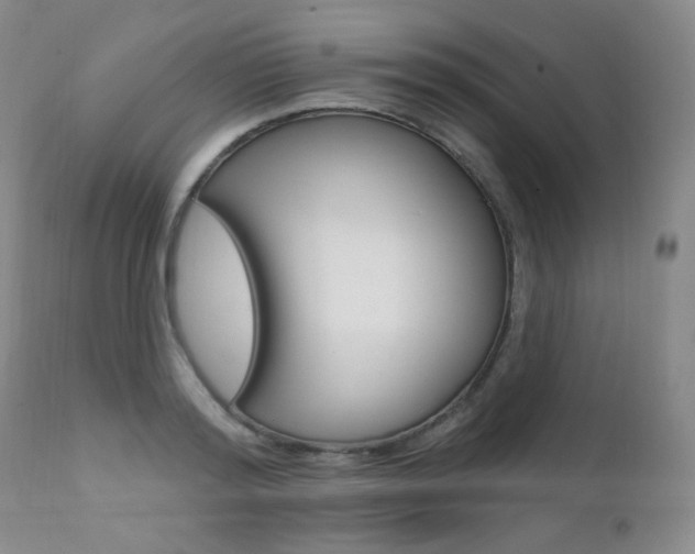 X0000111580796200907161154