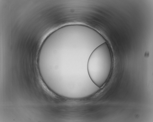 X0000111580797200907161154