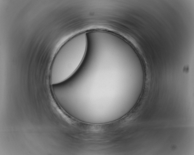 X0000111580799200907161154
