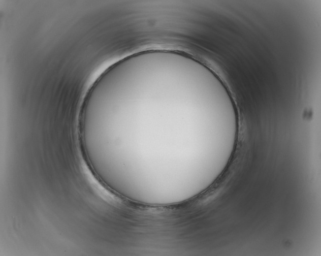 X0000111580803200907161154