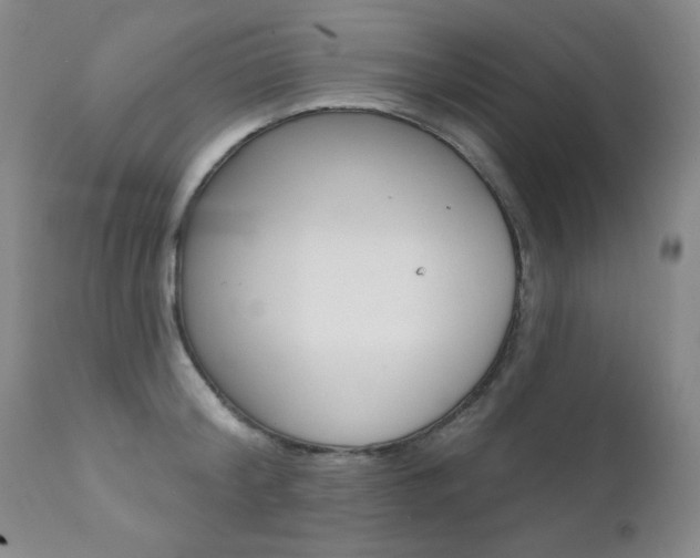 X0000111580804200907161154