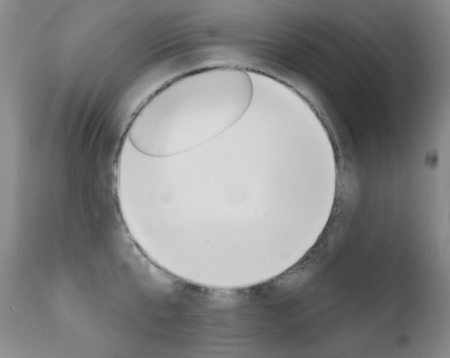 X0000111580807200907161154