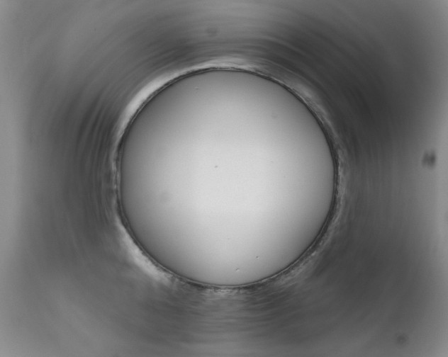 X0000111580808200907161154