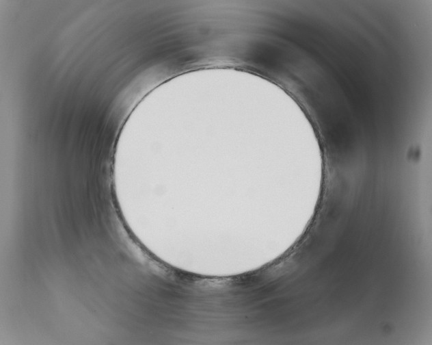 X0000111580810200907161154