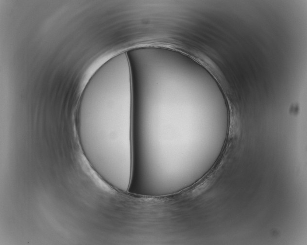 X0000111580812200907161154