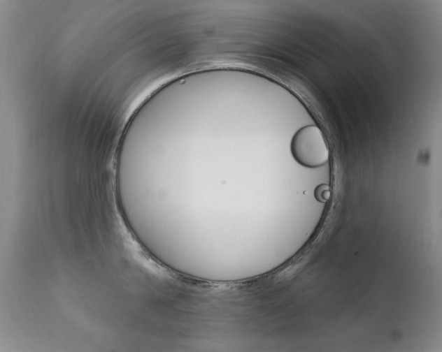 X0000111580814200907161154