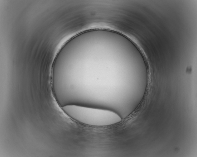 X0000111580815200907161154