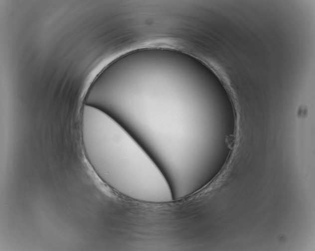X0000111580816200907161154