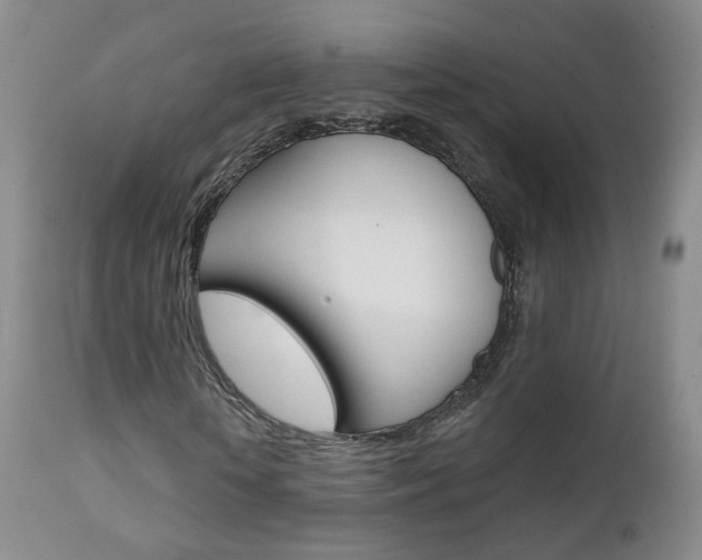 X0000111580818200907161153