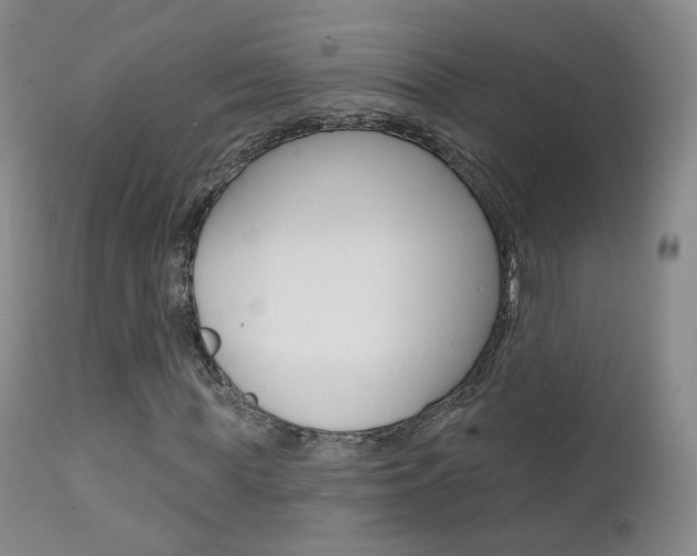 X0000111580819200907161154