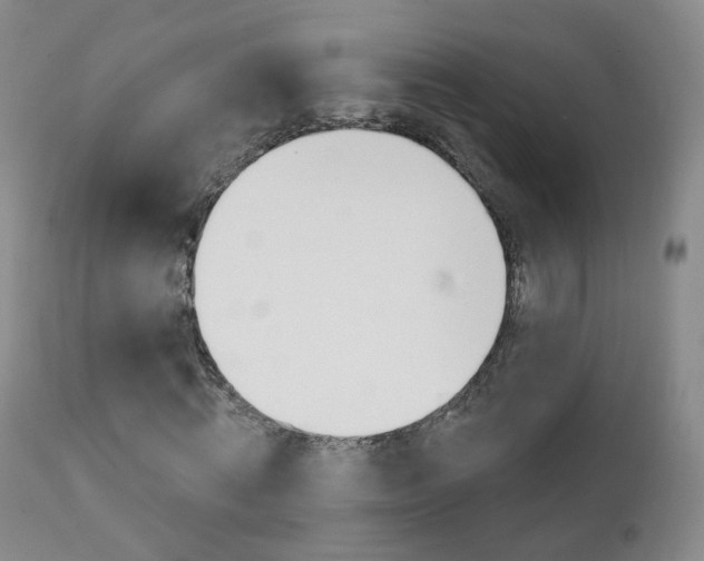X0000111580820200907161154
