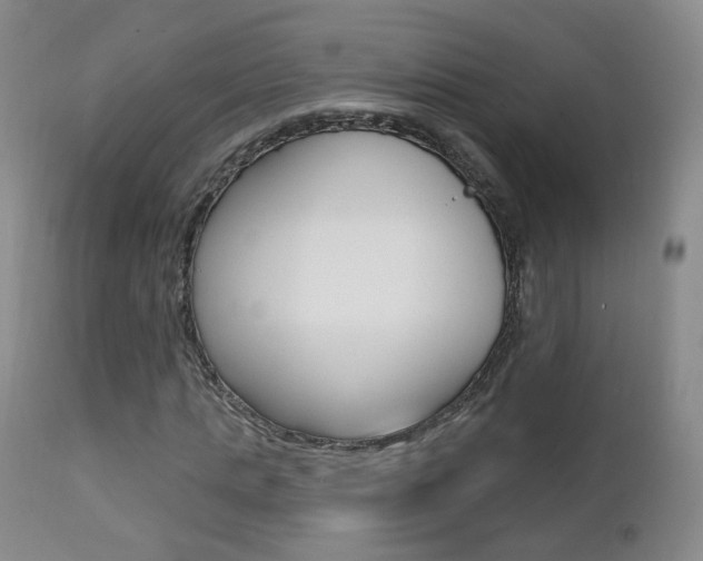 X0000111580821200907161154