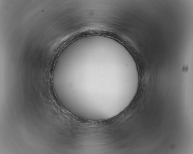 X0000111580822200907161154