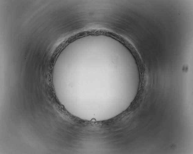 X0000111580823200907161154