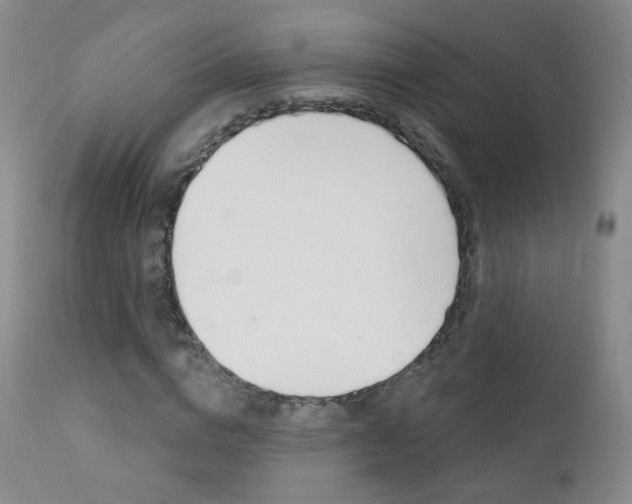 X0000111580824200907161154