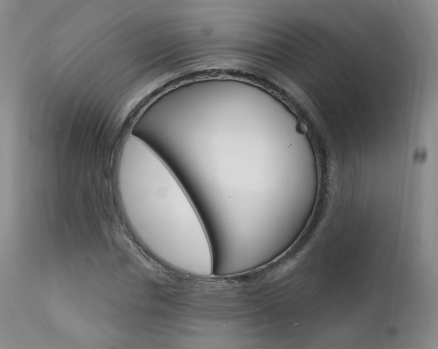 X0000111580826200907161154