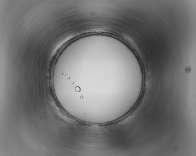 X0000111580827200907161154