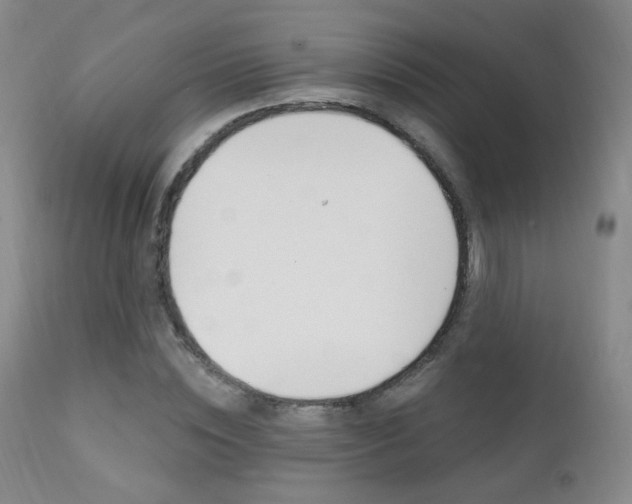 X0000111580828200907161154