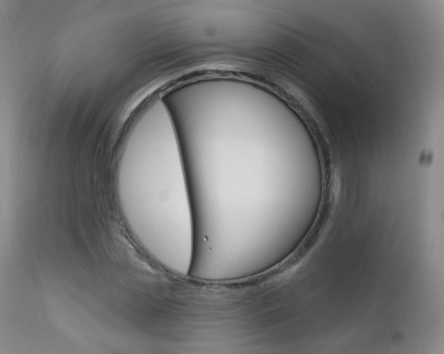 X0000111580829200907161154
