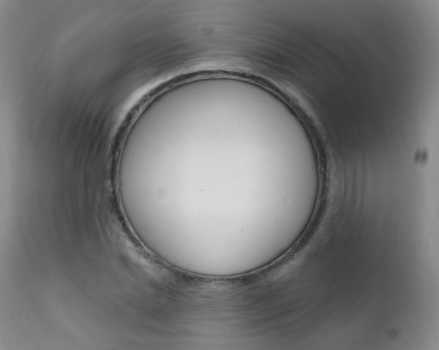 X0000111580830200907161154
