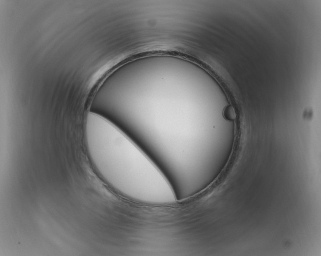 X0000111580834200907161154