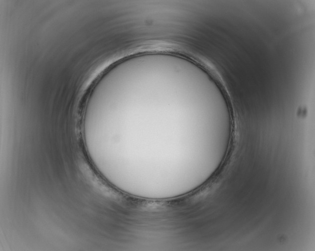 X0000111580835200907161154