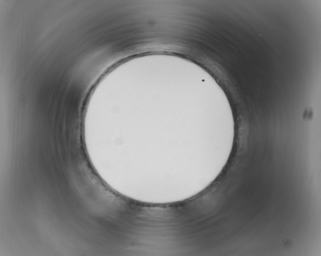 X0000111580836200907161154