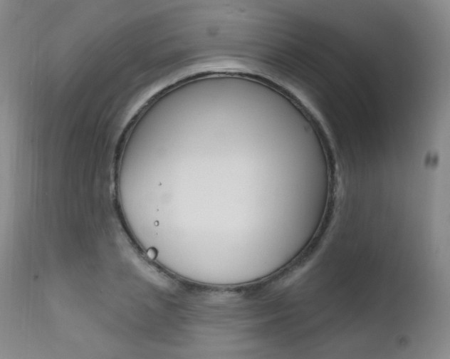 X0000111580837200907161154