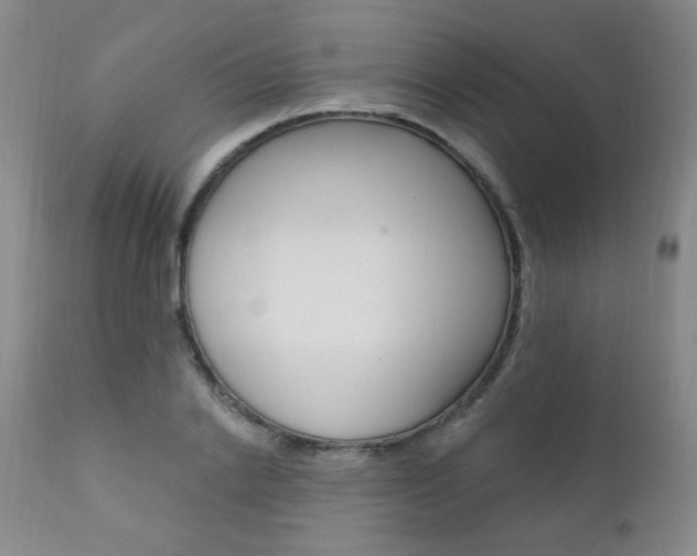 X0000111580838200907161154