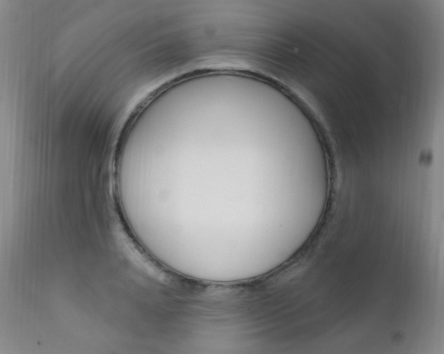X0000111580840200907161154