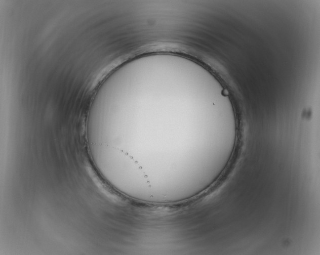 X0000111580841200907161154