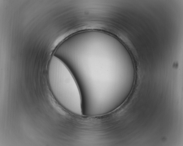 X0000111580842200907161154