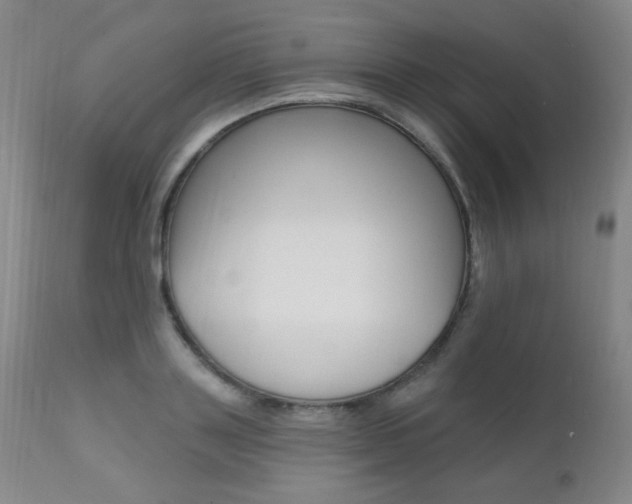 X0000111580843200907161154