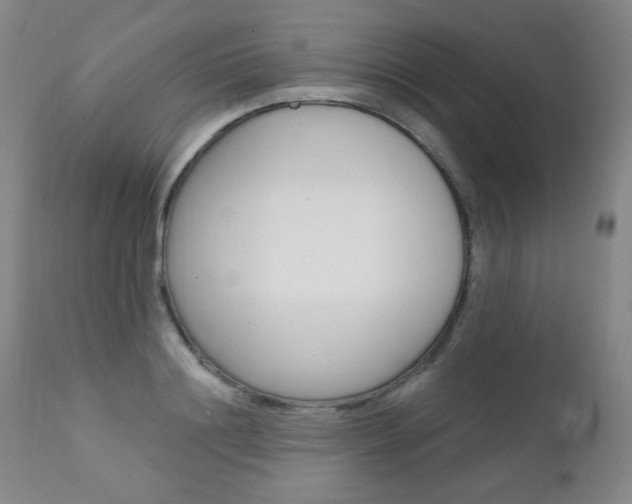 X0000111580844200907161154
