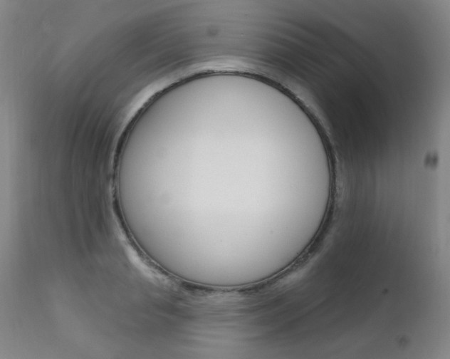 X0000111580845200907161154
