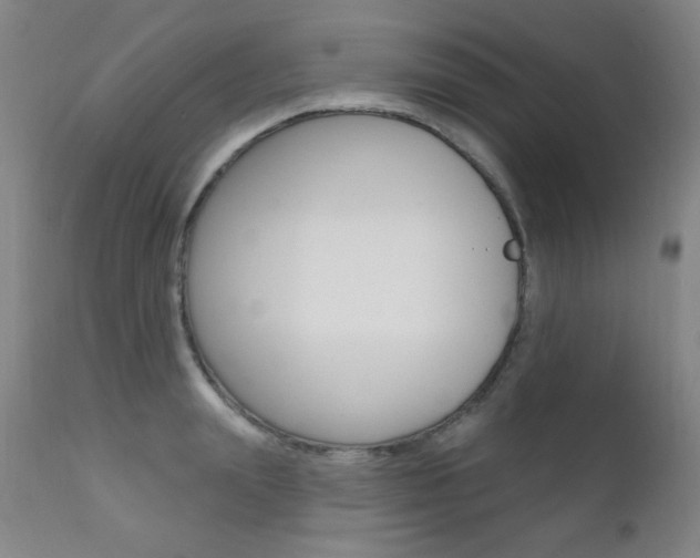 X0000111580847200907161154