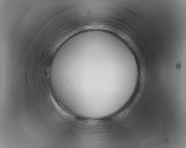 X0000111580849200907161154