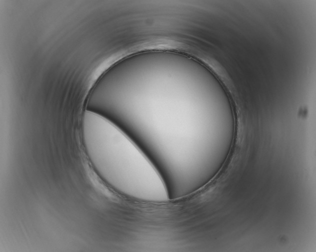 X0000111580850200907161154