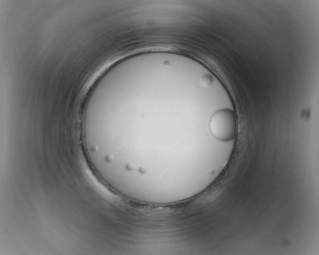 X0000111580851200907161154