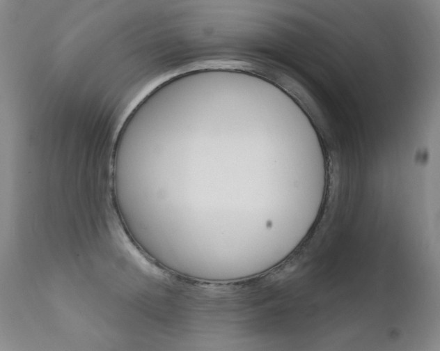 X0000111580852200907161154